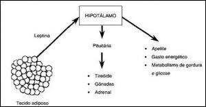 Medos descrença frustrações aliados da obesidade