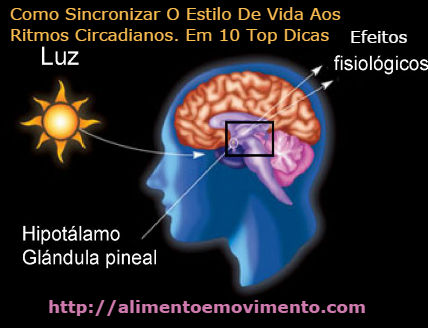 Como sincronizar o estilo de vida aos ritmos circadianos. Em 10 Top Dicas +1