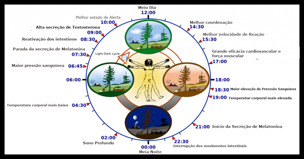 8 Segredos Fundamentais A Saúde Com Sucesso